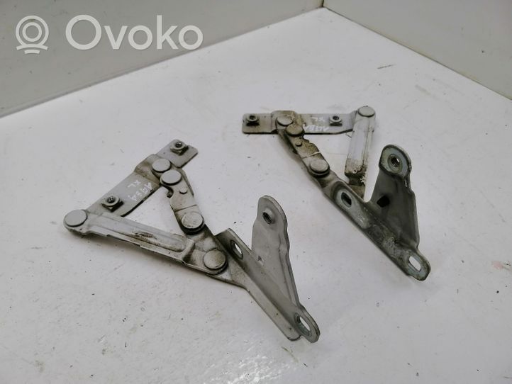 Seat Altea XL Engine bonnet/hood hinges 5P0823301B