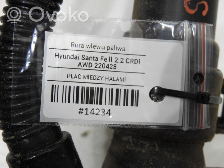 Hyundai Santa Fe Tubo e bocchettone per riempimento serbatoio del carburante 31030-2BXXX