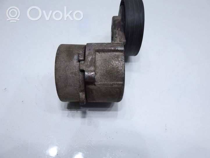 Opel Meriva A Timing belt tensioner 