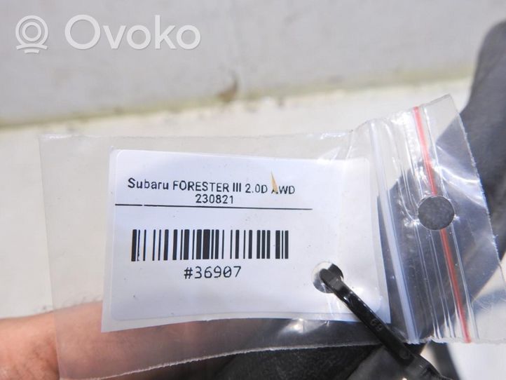 Subaru Forester SH Guarnizione in gomma portiera posteriore 