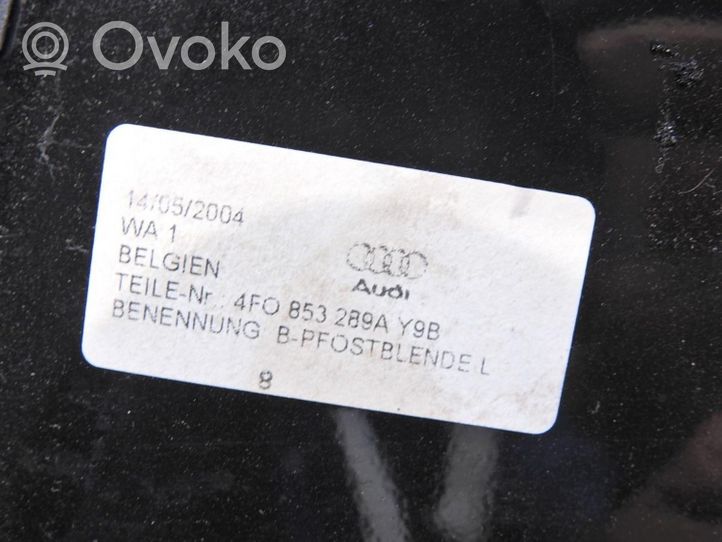 Audi A6 S6 C6 4F Etuoven lista (muoto) 4F0853289A