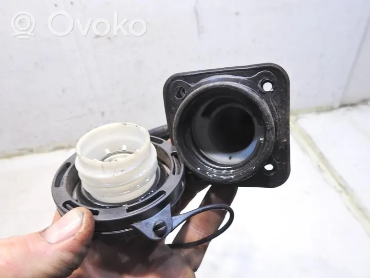 Hyundai Santa Fe Tubo e bocchettone per riempimento serbatoio del carburante 31030-2BXXX