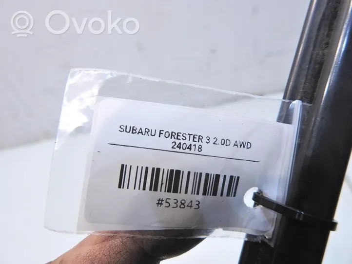 Subaru Forester SH Binario del parabrezza della portiera posteriore 65258SC010
