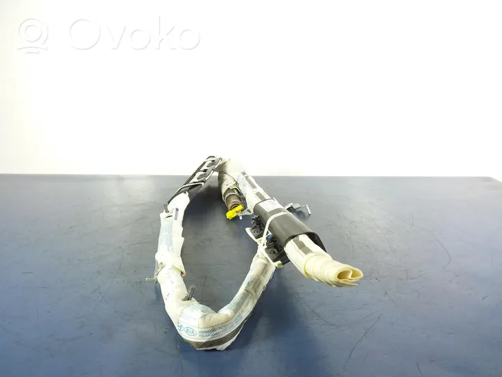 Hyundai i10 Roof airbag 85010-B9000