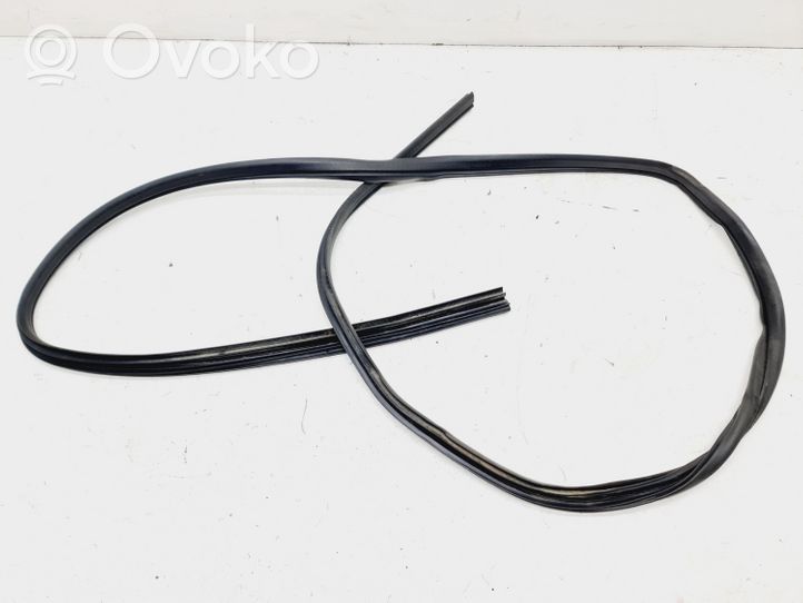 Ford Fusion Rear door rubber seal (on body) 