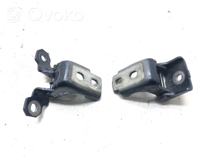 Renault Megane III Rear door hinge set 804200003RK