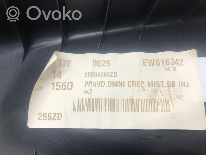 Citroen C3 Boczki / Poszycie drzwi przednich 98006266ZD