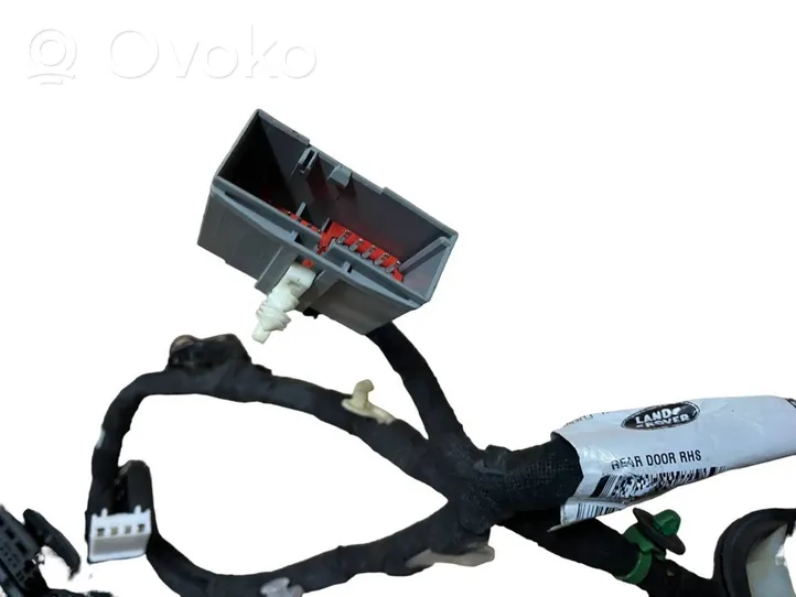 Land Rover Range Rover L405 Cableado de puerta trasera CK5214632