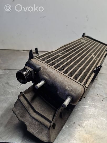 Mercedes-Benz S W140 Dzinēja eļļas radiators 1405000000