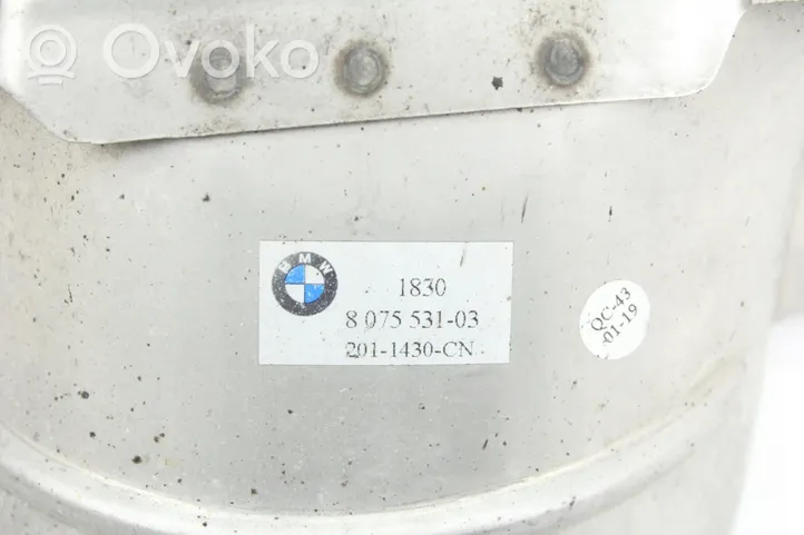 BMW 2 F44 Embouts d'échappement 8075531