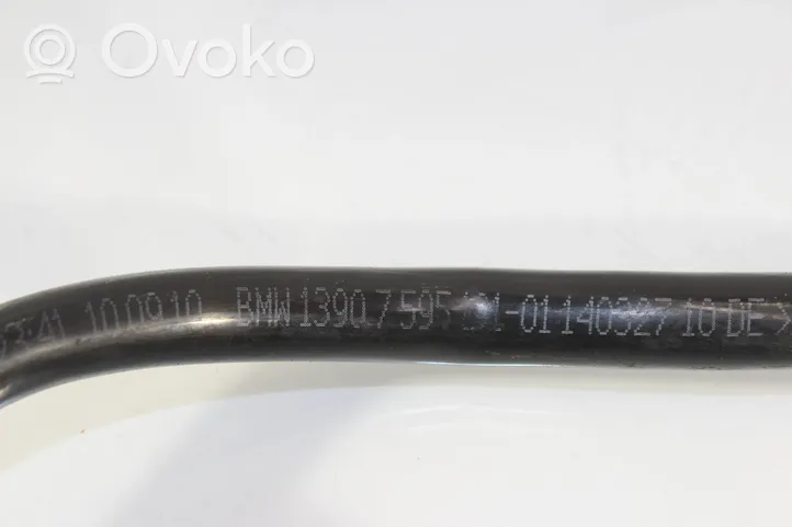 BMW X6 E71 Žarna (-os)/ vamzdis (-džiai) 114032710