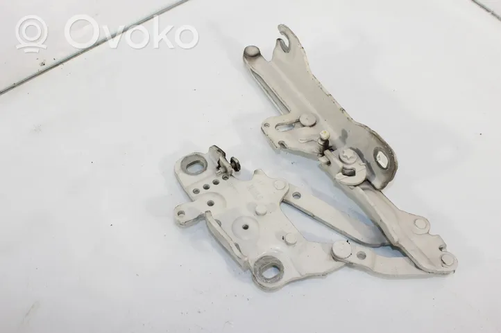 BMW 3 F30 F35 F31 Cerniere del vano motore/cofano 7239416