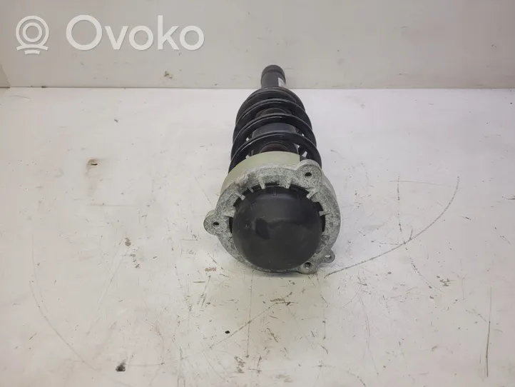 Audi A4 S4 B9 Front shock absorber with coil spring 8W0413031AA