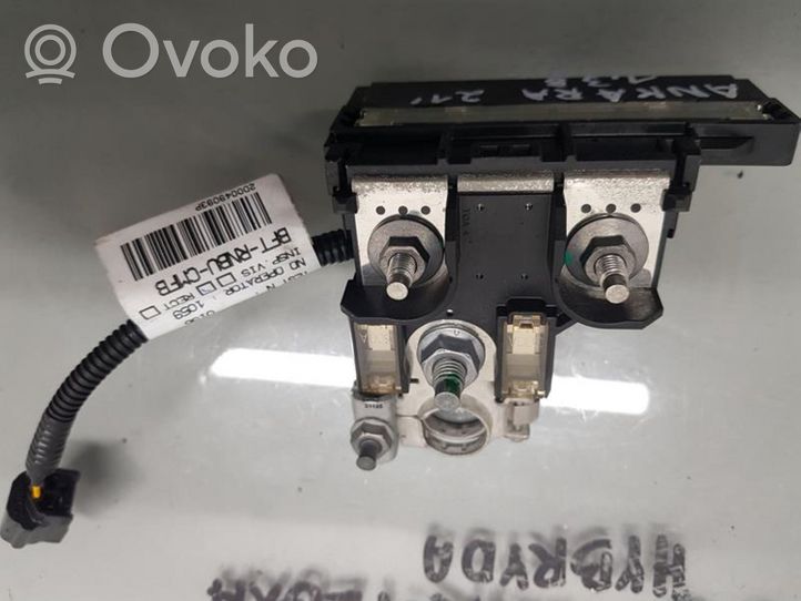 Renault Arkana Cavo positivo (batteria) 2D0049093P