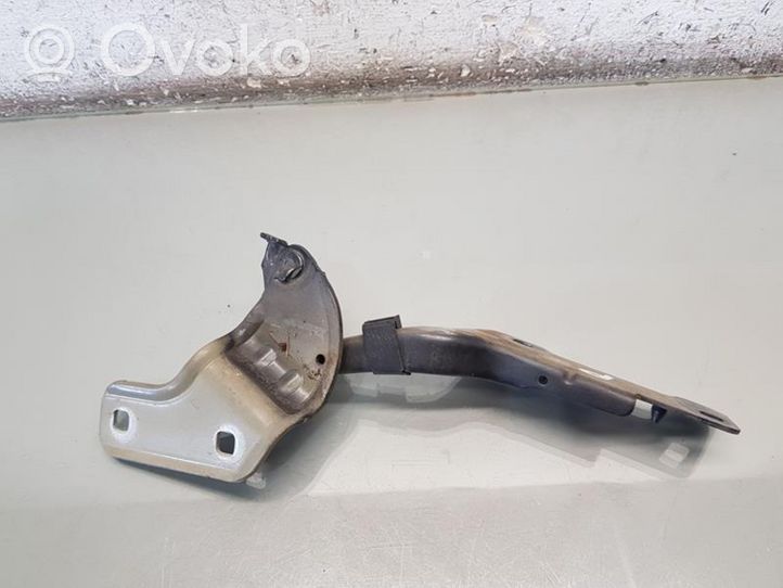 Renault Clio III Cerniere del vano motore/cofano 307817