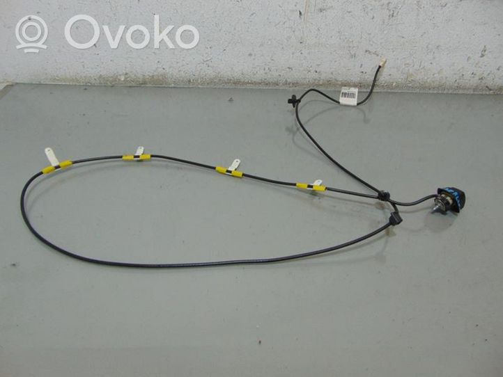 Citroen Berlingo Radion antenni 