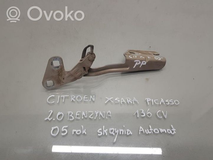 Citroen Xsara Picasso Cerniere del vano motore/cofano 