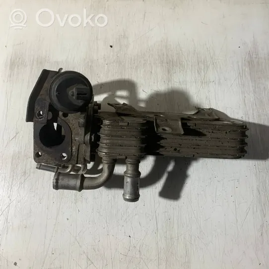 Volkswagen Golf Plus EGR valve cooler 038131513AD