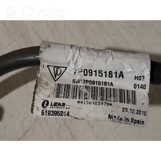 Volkswagen Touareg II Cavo negativo messa a terra (batteria) 7P0915181A