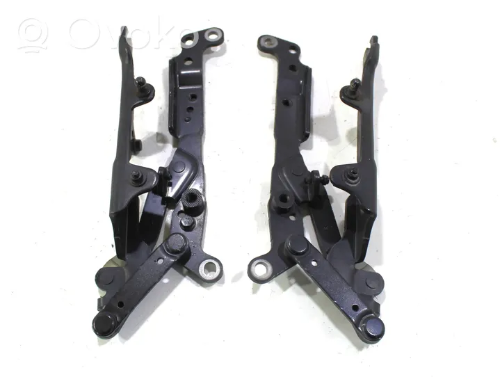 BMW 7 F01 F02 F03 F04 Cerniere del vano motore/cofano 