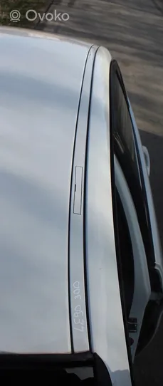 BMW M5 Priekšpusē durvju dekoratīvā apdare (moldings) 