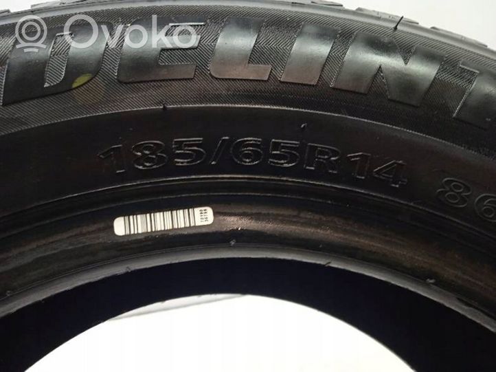 Fiat Punto (188) R14 winter tire DELINTE