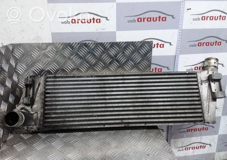 Renault Scenic II -  Grand scenic II Intercooler radiator 8200115540