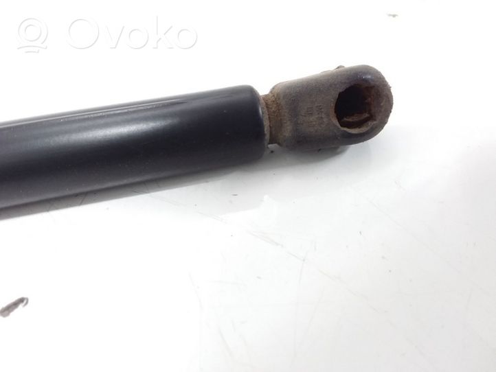 Mini One - Cooper R50 - 53 Ammortizzatore portellone anteriore/cofano 4161706656601