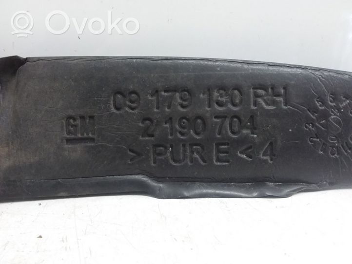 Opel Signum Wygłuszenie / Pianka błotnika przedniego 09179130