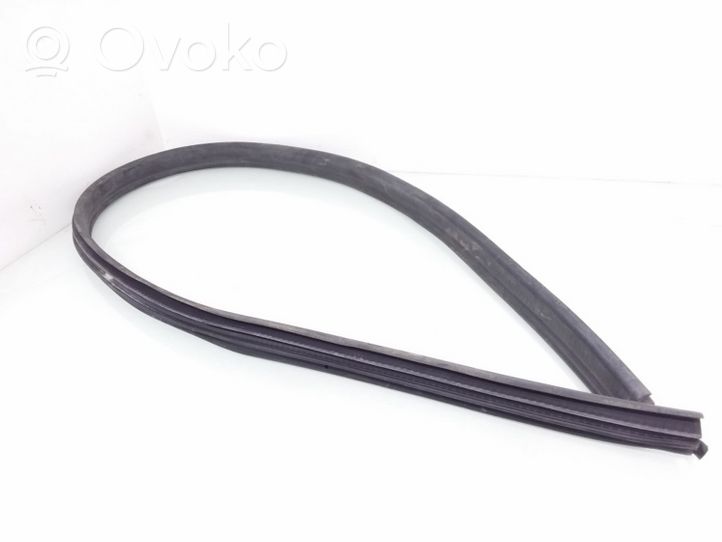 Opel Astra H Rubber seal front coupe door 13252436