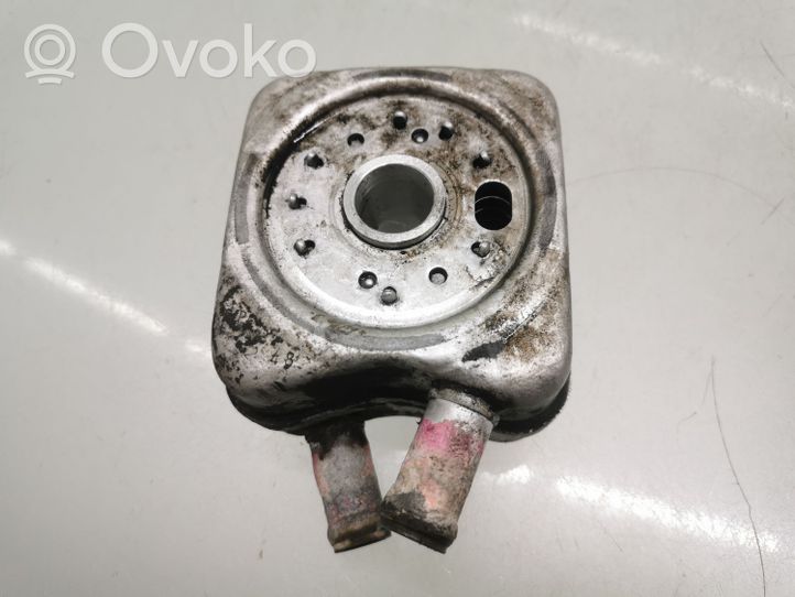 Skoda Octavia Mk2 (1Z) Supporto di montaggio del filtro dell’olio 028117021