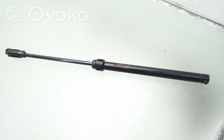 Audi A4 S4 B6 8E 8H Hydraulikzylinder Verdeck 