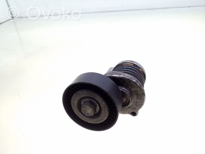 Audi A4 S4 B7 8E 8H Napinacz paska wielorowkowego / Alternatora 950330