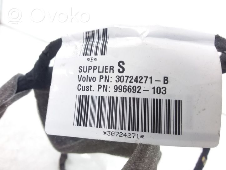 Volvo V50 Cablaggio porta posteriore 30724271