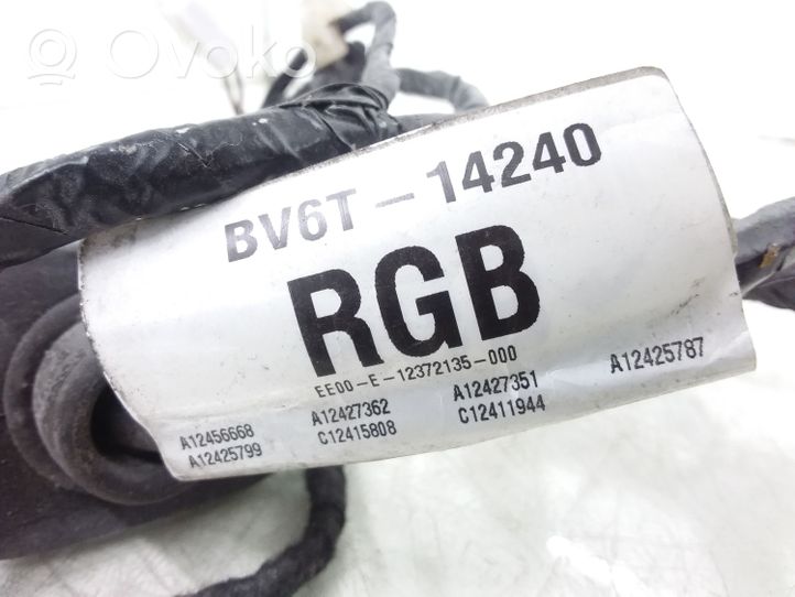 Ford Focus Cableado de puerta trasera BV6T14240