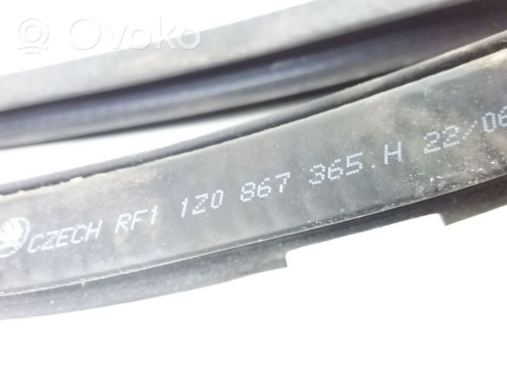 Skoda Octavia Mk2 (1Z) Gumowa uszczelka drzwi przednich 1Z0867365H