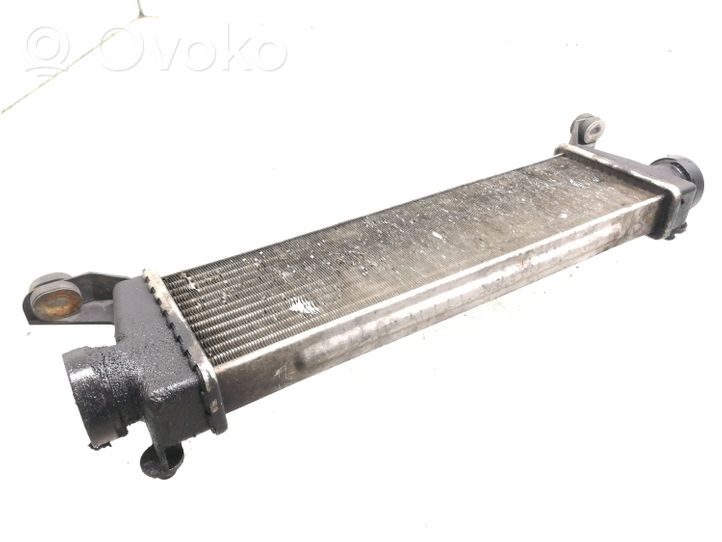 Mercedes-Benz Vaneo W414 Intercooler radiator A1685000000