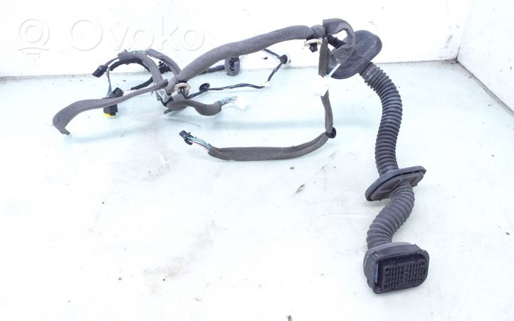 Renault Megane III Front door wiring loom 241250055R