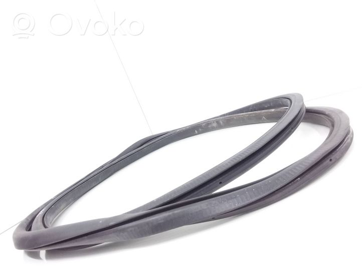 Volkswagen Tiguan Front door rubber seal 5N0867911