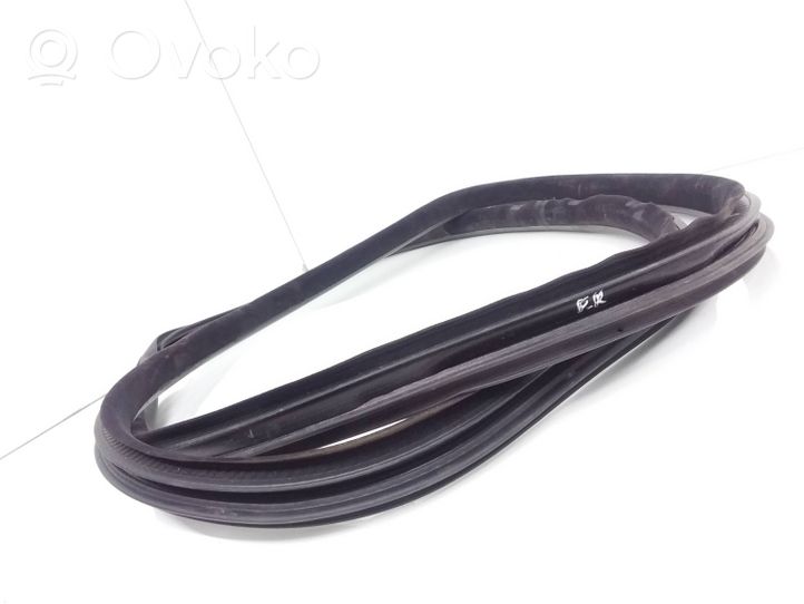 Volvo V70 Front door rubber seal S1xma