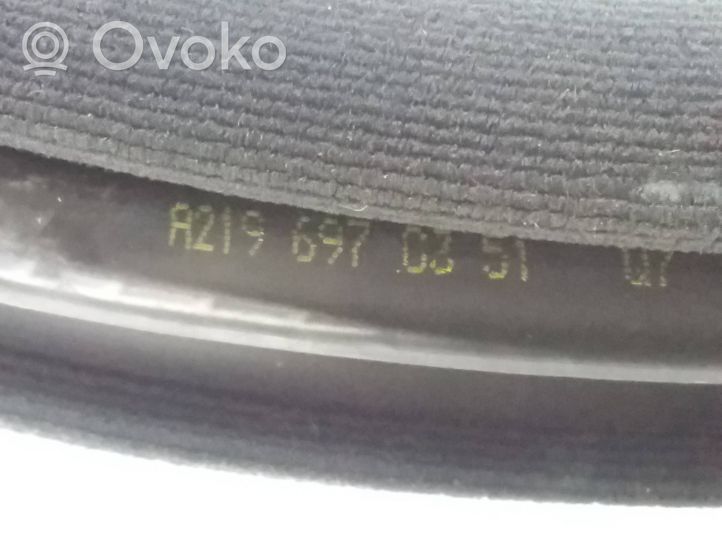 Mercedes-Benz CLS C219 Galinė sandarinimo guma (ant kėbulo) A2196970351