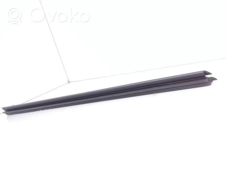 BMW 5 F10 F11 Rubber seal front door window/glass 