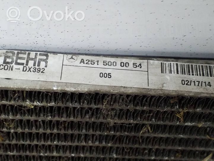 Mercedes-Benz R W251 Oro kondicionieriaus radiatorius aušinimo A2515000054