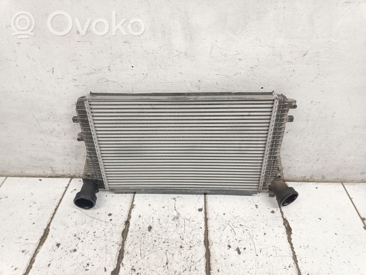 Volkswagen Golf V Radiatore intercooler 96715