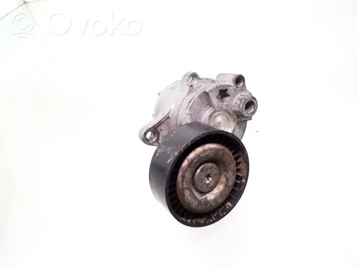 Mercedes-Benz E W211 Tendicinghia generatore/alternatore GA35108