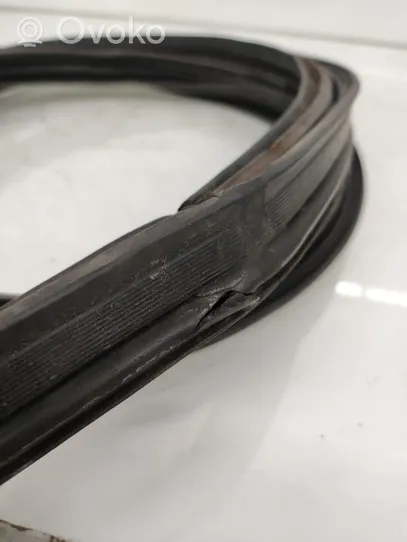 Chevrolet Captiva Trunk rubber seal (body) 130528