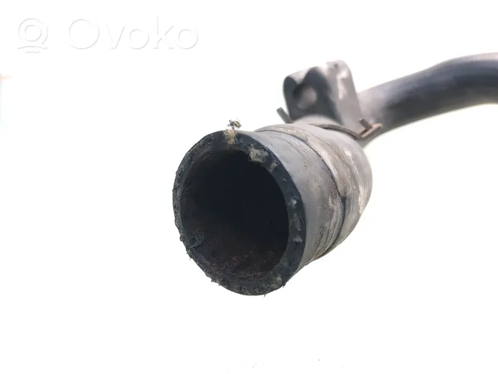 Volkswagen PASSAT B5 Engine coolant pipe/hose 8D0121101AD