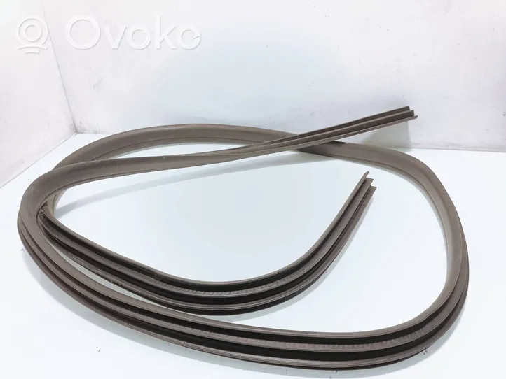 Ford Focus Rear door rubber seal (on body) 