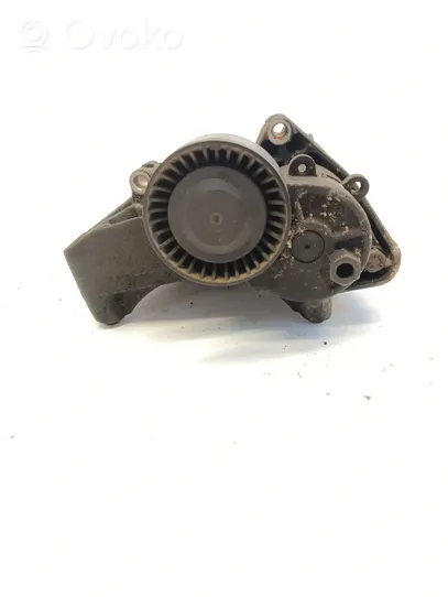 BMW 3 E46 Air conditioning tensioner 