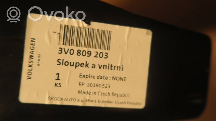Skoda Superb B8 (3V) Auton rungon sivu 3V0809203